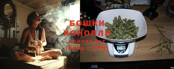 прущие грибы Заволжье