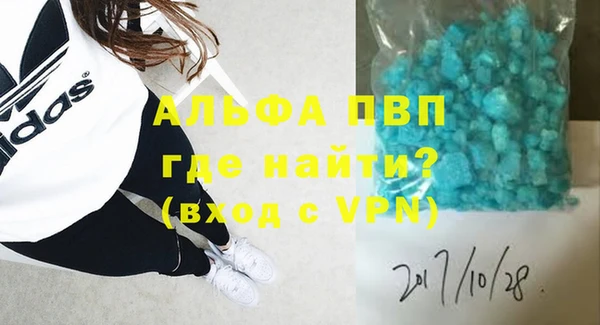 прущие грибы Заволжье