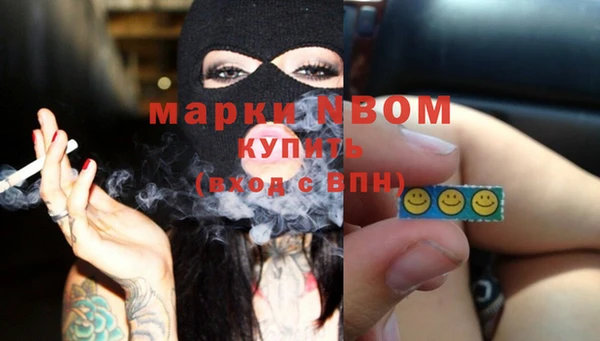 мдпв Заводоуковск