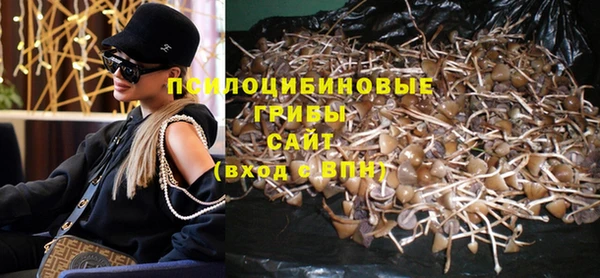 прущие грибы Заволжье