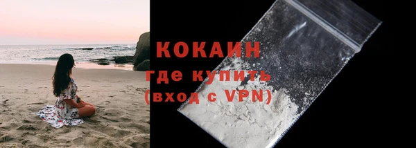 прущие грибы Заволжье