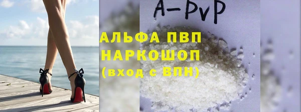 прущие грибы Заволжье