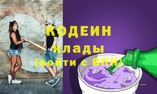 мдпв Заводоуковск