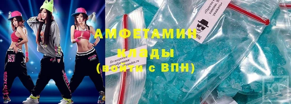прущие грибы Заволжье