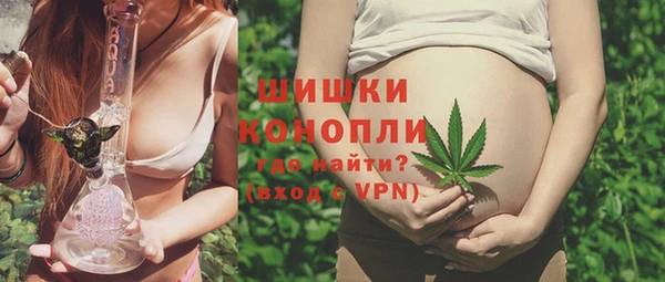 прущие грибы Заволжье