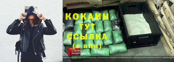 мдпв Заводоуковск