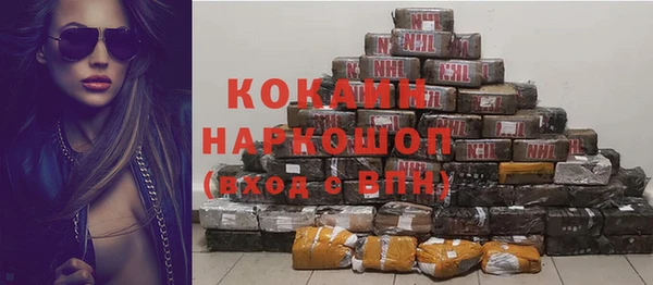 мдпв Заводоуковск